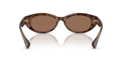 0RA5327U Dark Brown Shiny Dark Havana 7895653317772