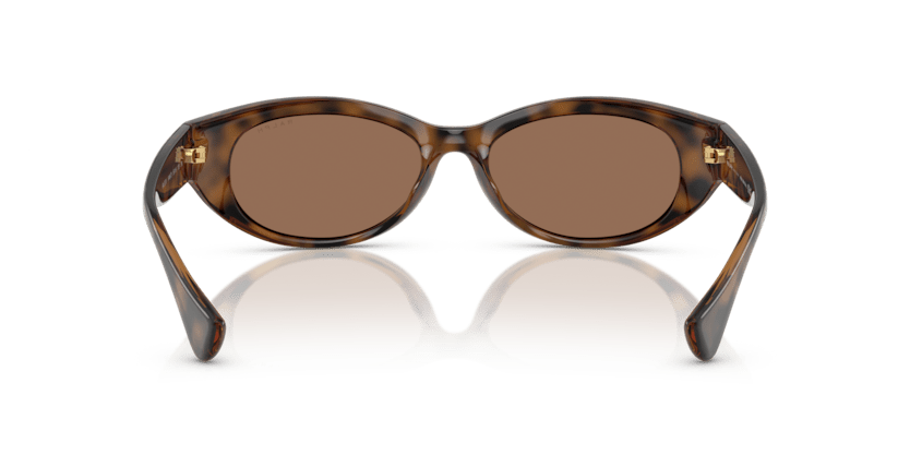 0RA5327U Dark Brown Shiny Dark Havana 7895653317772