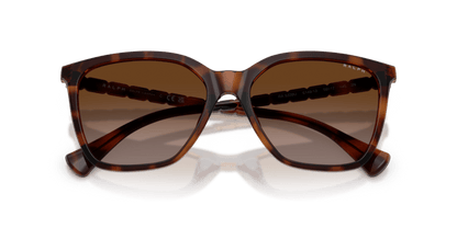 0RA5328U Brown Gradient Shiny Dark Havana 8056262460450