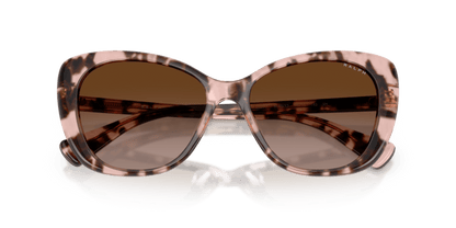 0RA5329U Brown Gradient Shiny Pink Havana 8056262459898