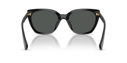 0RA5330U Light Grey Shiny Black 8056262459843