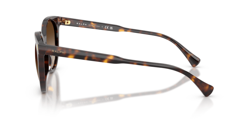 0RA5331U Brown Gradient Shiny Dark Havana 8056262459607