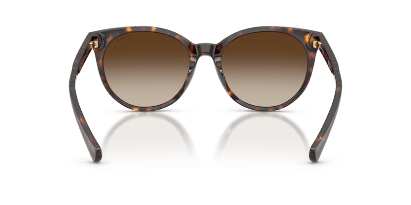 0RA5331U Brown Gradient Shiny Dark Havana 8056262459607