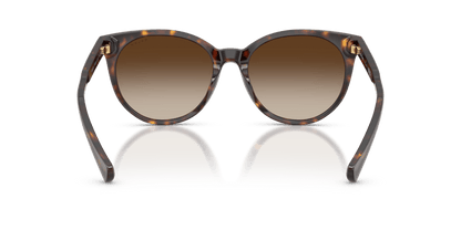 0RA5331U Brown Gradient Shiny Dark Havana 8056262459607