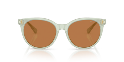 0RA5331U Amber Shiny Milky Green 8056262459621