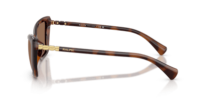 0RA5332U Brown Shiny Dark Havana 8056262459027