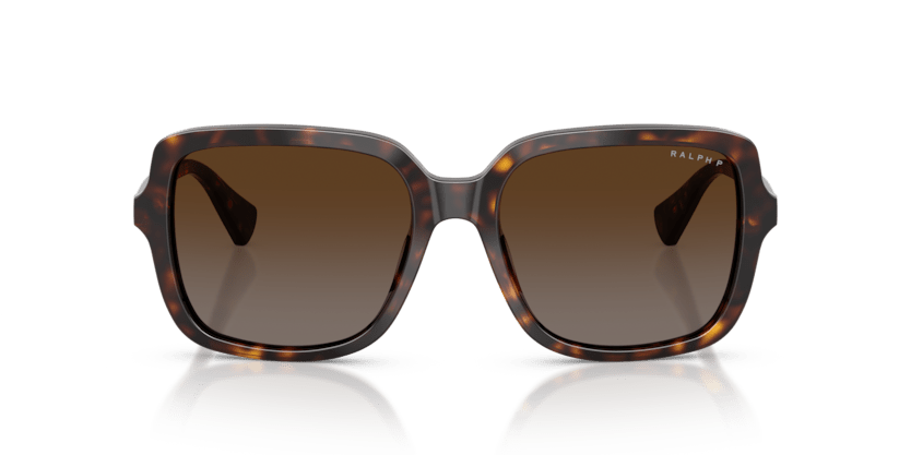 0RA5333U Polar Brown Gradient Shiny Dark Havana 8056262459980