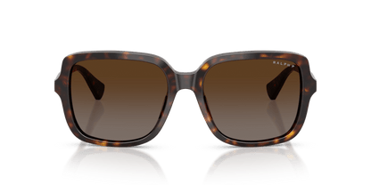 0RA5333U Polar Brown Gradient Shiny Dark Havana 8056262459980