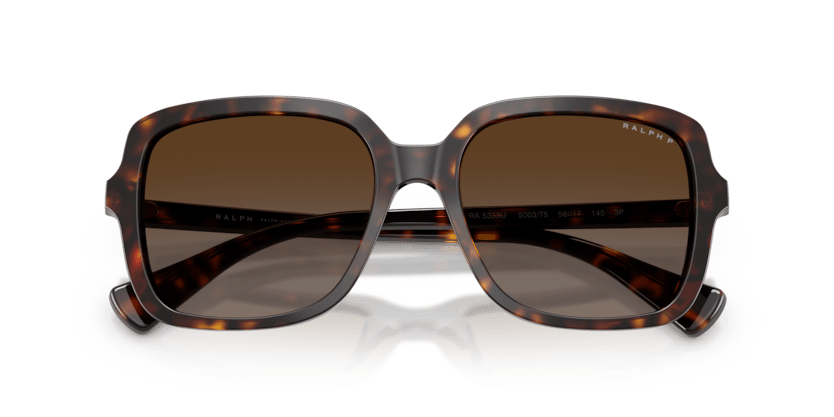 0RA5333U Polar Brown Gradient Shiny Dark Havana 8056262459980