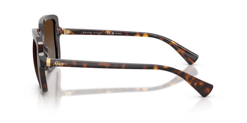 0RA5333U Polar Brown Gradient Shiny Dark Havana 8056262459980