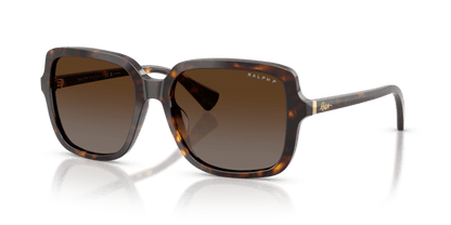 0RA5333U Polar Brown Gradient Shiny Dark Havana 8056262459980