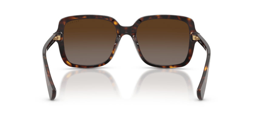 0RA5333U Polar Brown Gradient Shiny Dark Havana 8056262459980