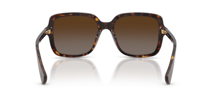 0RA5333U Polar Brown Gradient Shiny Dark Havana 8056262459980