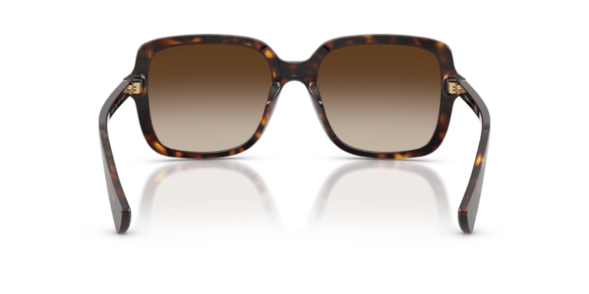 0RA5333U Brown Gradient Shiny Dark Havana 8056262459928