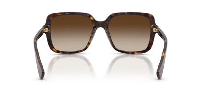 0RA5333U Brown Gradient Shiny Dark Havana 8056262459928