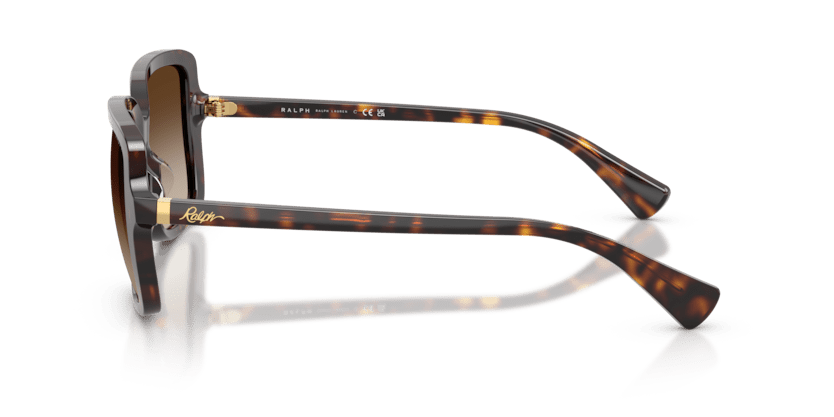 0RA5333U Brown Gradient Shiny Dark Havana 8056262459928