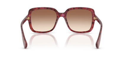 0RA5333U Light Brown Gradient Shiny Purple Havana 8056262460191