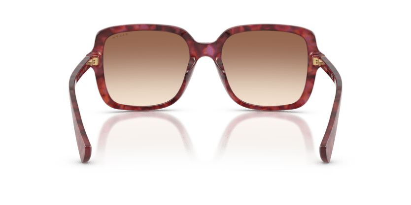 0RA5333U Light Brown Gradient Shiny Purple Havana 8056262460191