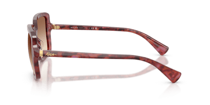 0RA5333U Light Brown Gradient Shiny Purple Havana 8056262460191