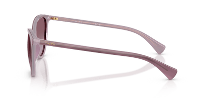 8056262531426