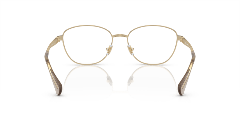 0RA6057 Demo Lens Shiny Pale Gold 8056597903813