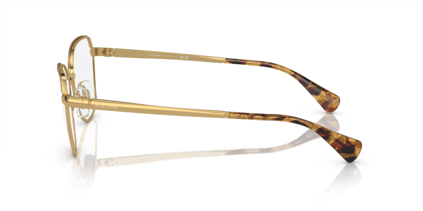 0RA6058 Demo Lens Shiny Gold 8056597904902