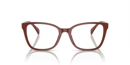 0RA7137U Demo Lens Shiny Brown Red 8056597918657