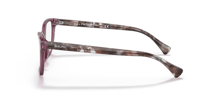 0RA7137U Demo Lens Shiny Transparent Violet 8056597601726