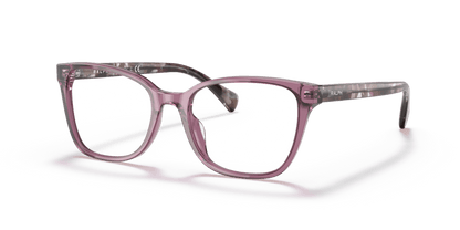 0RA7137U Demo Lens Shiny Transparent Violet 8056597601726