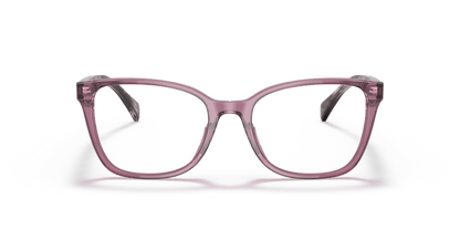 0RA7137U Demo Lens Shiny Transparent Violet 8056597601726