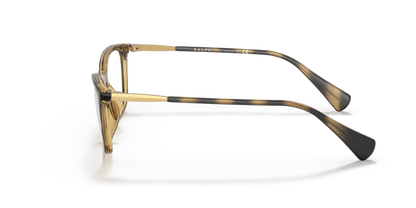 0RA7138U Demo Lens Dark Havana 8056597607469