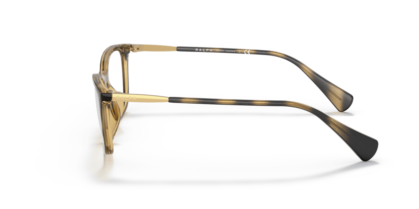 0RA7138U Demo Lens Dark Havana 8056597607469