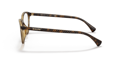 0RA7140U Demo Lens Shiny Dark Havana 8056597607384