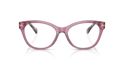 0RA7141 Demo Lens Shiny Transparent Violet 8056597698702