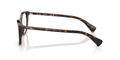 0RA7146 Demo Lens Shiny Havana 8056597698894