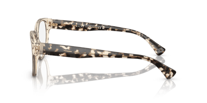 0RA7151 Demo Lens Shiny Transparent Light Brown 8056597806794