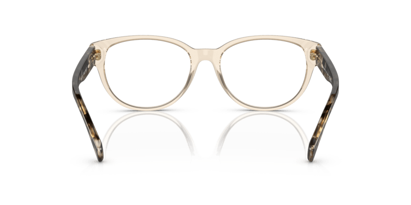 0RA7151 Demo Lens Shiny Transparent Light Brown 8056597806794