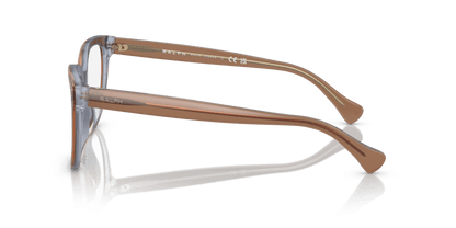 0RA7153 Demo Lens Transparent Brown On Blue 8056597806862