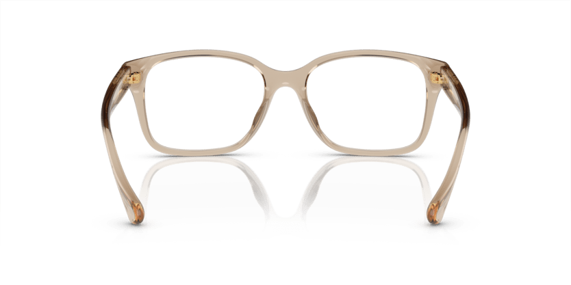 0RA7155U Demo Lens Shiny Transparent Beige 8056597905107