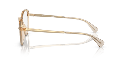 0RA7157U Demo Lens Shiny Transparent Brown 8056597904865