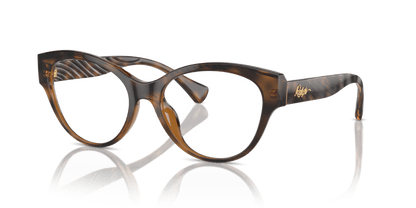 0RA7164U Demo Lens Shiny Dark Havana 7895653287921