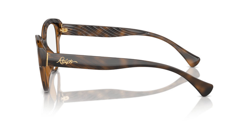 0RA7164U Demo Lens Shiny Dark Havana 7895653287921