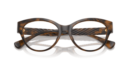 0RA7164U Demo Lens Shiny Dark Havana 7895653287921