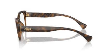 0RA7165U Demo Lens Shiny Dark Havana 7895653287655