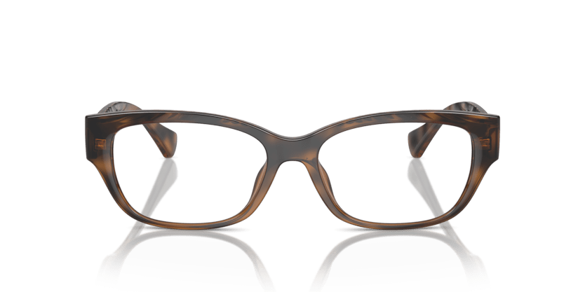 0RA7165U Demo Lens Shiny Dark Havana 7895653287655