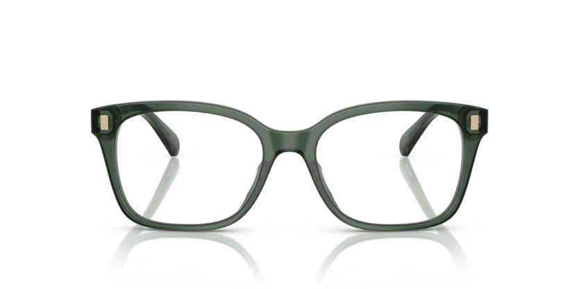 0RA7174U Demo Lens Shiny Transparent Green 8056262227855