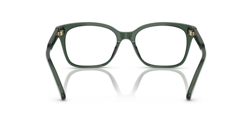 0RA7174U Demo Lens Shiny Transparent Green 8056262227855