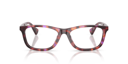 0RA7179U Demo Lens Shiny Purple Havana 8056262460351