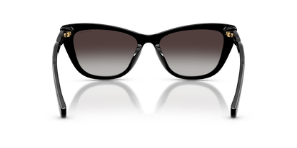 8056262531433