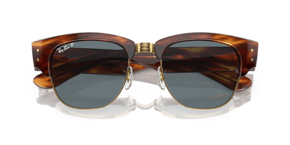 Striped Havana - 0RB0316S 8056597888813